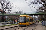 Wolfiii fährt selbst in Dresden NGT6DD-ZR 2587