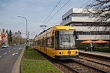 Wolfiii fährt selbst in Dresden NGT6DD-ZR 2587